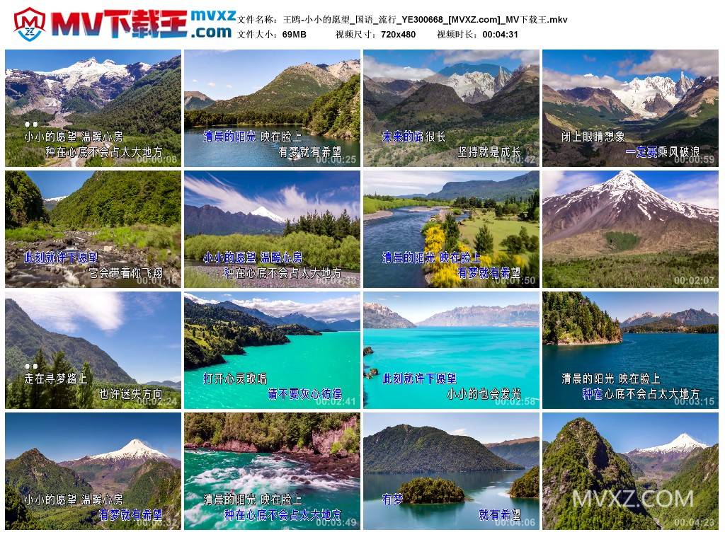 王鸥-小小的愿望_国语_流行_YE300668